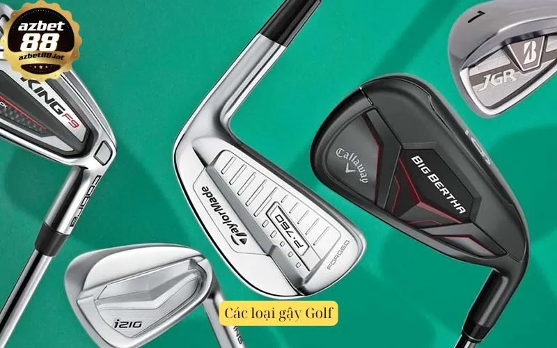 Các loại gậy Golf