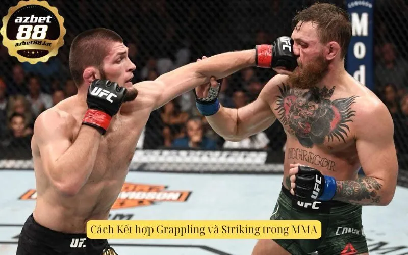 Cách Kết hợp Grappling và Striking trong MMA