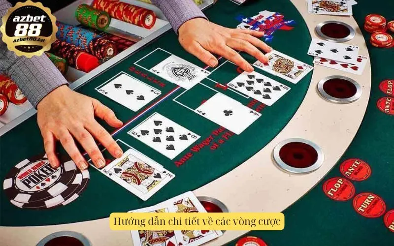 Hướng dẫn chi tiết về các vòng cược