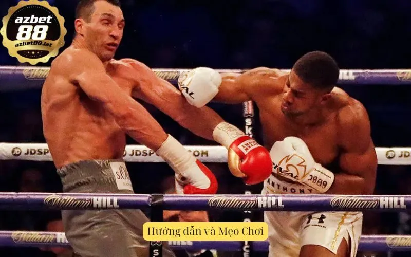 Hướng dẫn và Mẹo Chơi