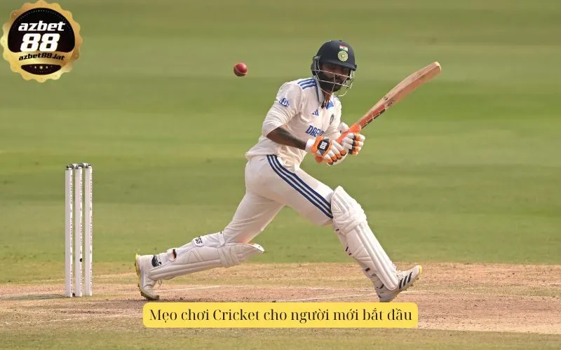 Mẹo chơi Cricket cho người mới bắt đầu