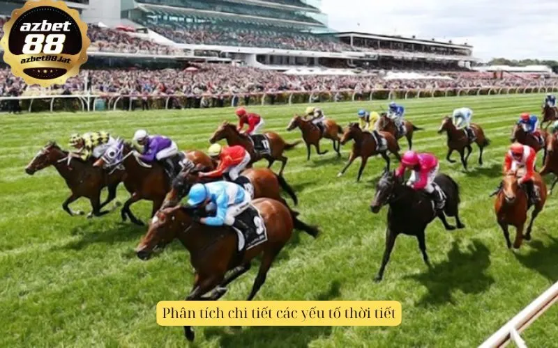 Phân tích chi tiết các yếu tố thời tiết