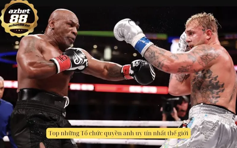 Top những Tổ chức quyền anh uy tín nhất thế giới