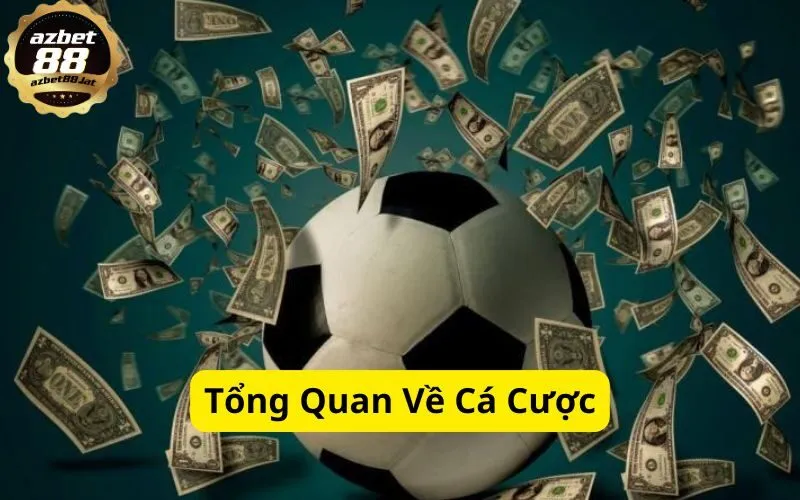 Tổng Quan Về Cá Cược