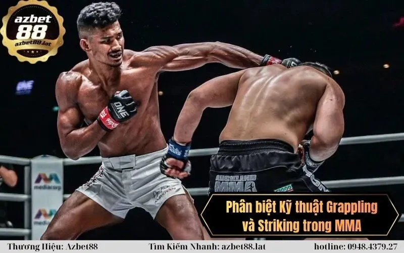 Phân biệt Kỹ thuật Grappling & Striking trong MMA